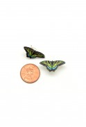 Swallowtail Butterfly Studs